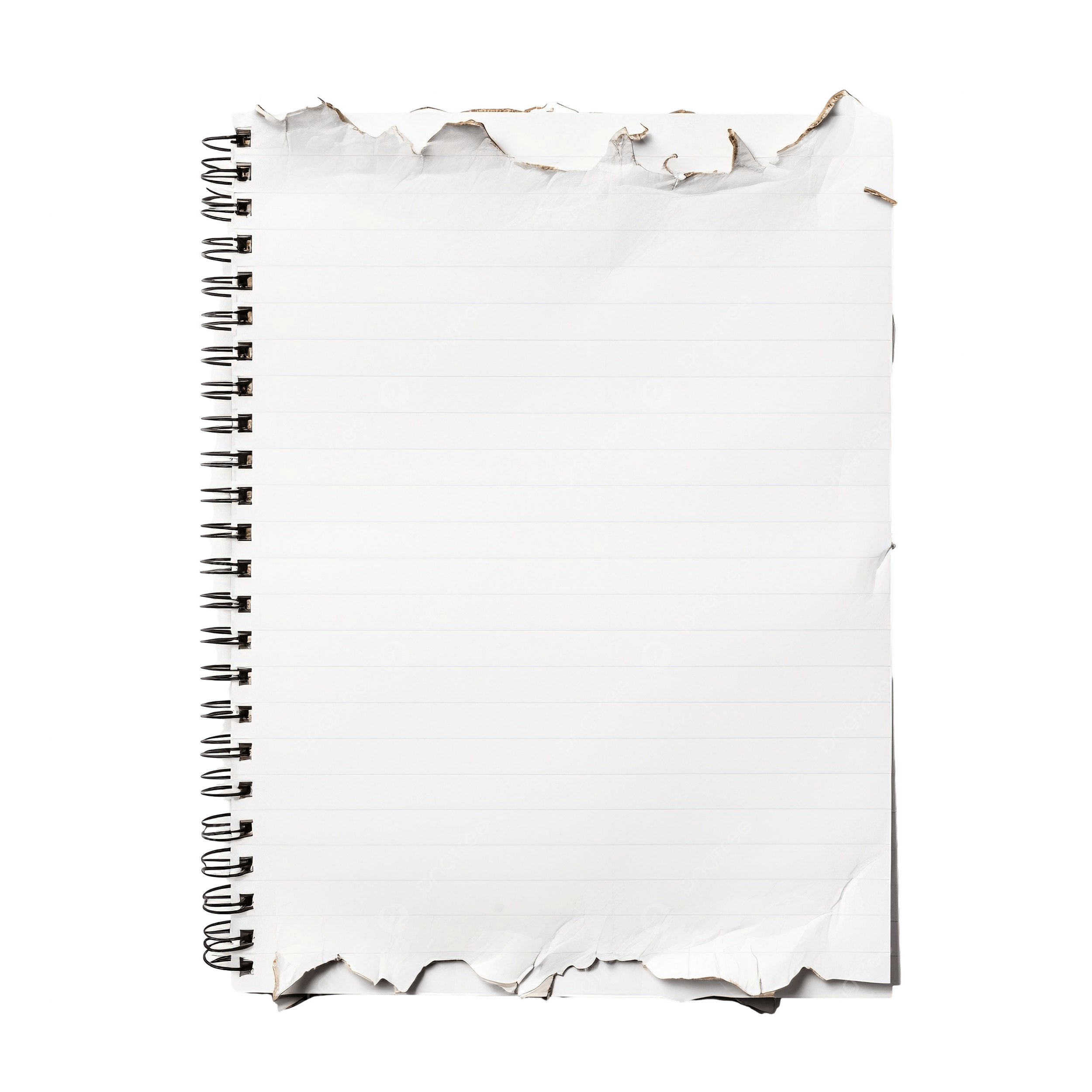 Decoration png